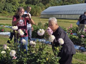 Vet farmers learning dahlia cultivation practices during a visit to the flower plots.