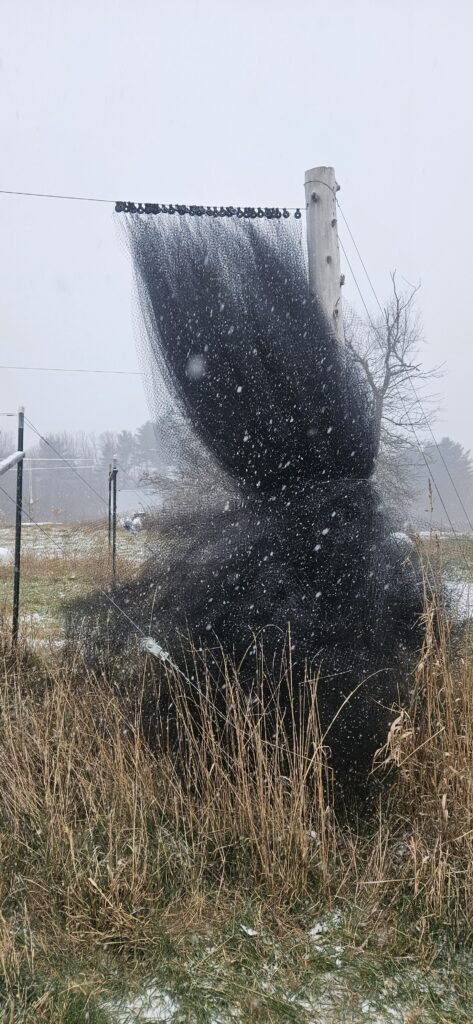 Photo showing netting secured to a cedar post for winter storage.
