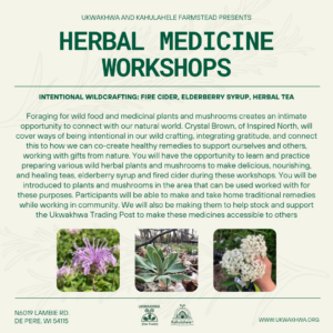 Another promotional graphic for Ukwakhwa and Kahulahele Farmstead’s Herbal Medicine Workshops, with the title "Herbal Medicine Workshops" at the top. The subtitle, "Intentional Wildcrafting: Fire Cider, Elderberry Syrup, Herbal Tea," introduces the workshops’ focus on foraging wild plants and mushrooms to create remedies. The description explains the workshops, led by Crystal Brown, covering wildcrafting, gratitude, and making remedies like herbal teas and elderberry syrup. Participants will learn about local plants and mushrooms and take home the medicines they make. Three images at the bottom show a bee balm flower, a mullein plant in the woods, and a hand holding elderflower blossoms. Logos for Ukwakhwa and Kahulahele Farmstead appear at the bottom, along with the website and workshop address.