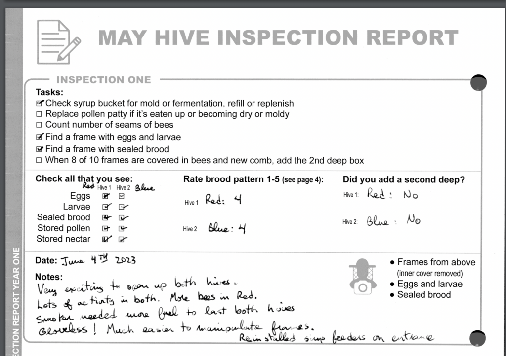 Final report for LNC21-448 - SARE Grant Management System
