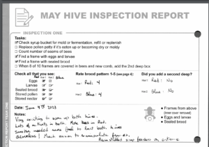 Page from the beekeeping workbook filled out by a mentee. 