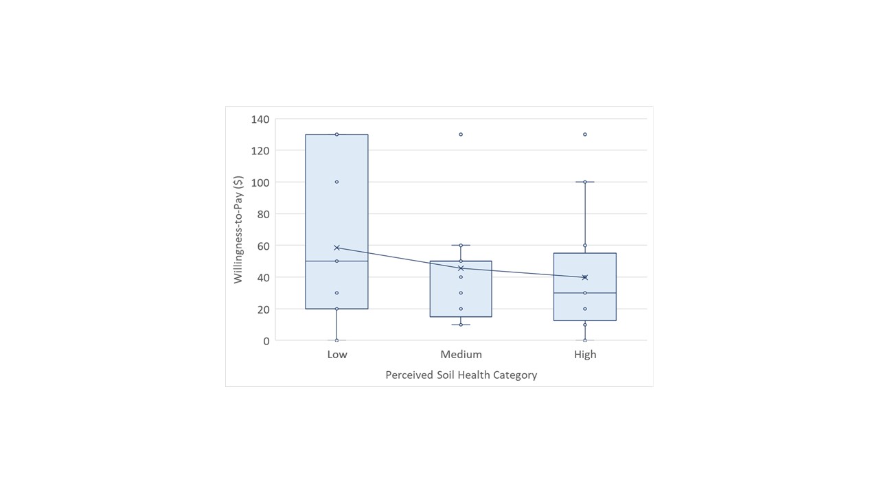 Final Report Sare Economic Graph