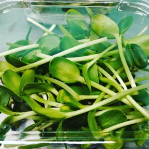 microgreens