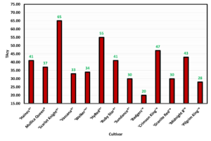 Fruit color measured as total anthocyanin content (TAcy) of 13 different hybrid cultivars planted at the UMass Cranberry Station as part of the cultivar evaluation study.