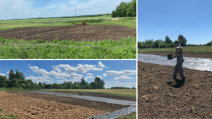 Sowing cover crops, field prepared for crops