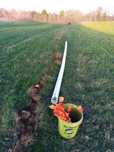I used a 20' length of drain tubing as a jig for measuring on planting distance between each chestnut tree.
