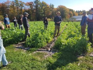 Learning at a Maine Farm about intensive no till veg production