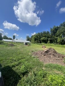 compost pile in a field with greenhouses in the background
