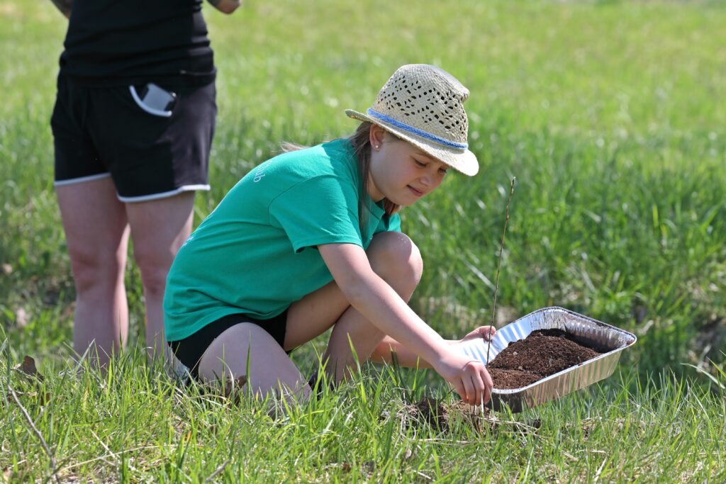 4 H participant places a wild plum sapling in the ground.