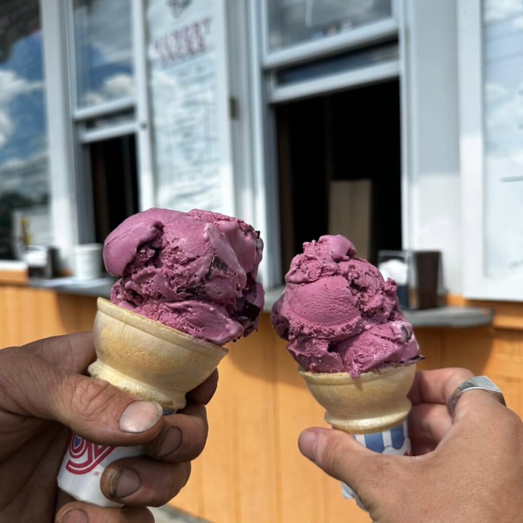 Honeyberry ice cream photo