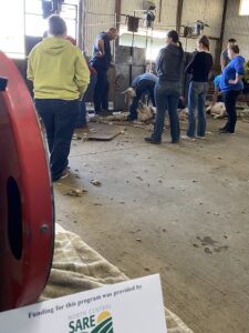 group of people watching a professional sheep shearer demonstration
