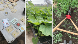 Seed packets, seedlings, wheel hoe