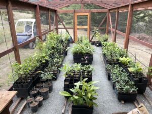 Full Nursery