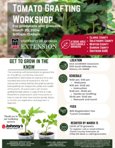 Tomato grafting flier