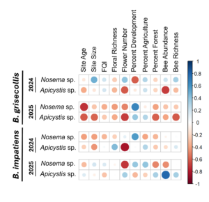 Correlation diagram detailing the impact of local and landscape-level factors on two bumble bee parasites.