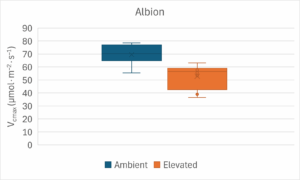 Figure showing decrease in Vcmax for Albion