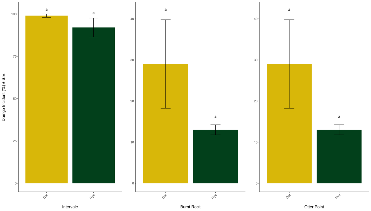 Wireworm Damage Incidence