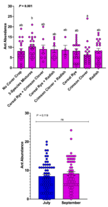 Effect of month and cover crop treatments on ant abundance from pitfall traps