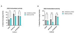 Figure showing the effect of mycorrhizal inoculation on antioxidant activity.