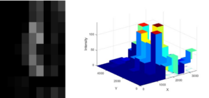 Apple flower density mesh