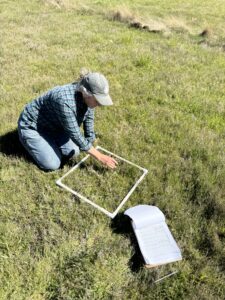 Spring inventory of target native plant species