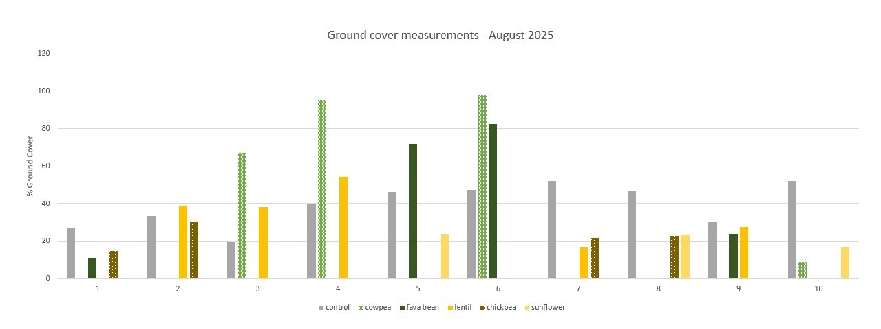 A bar chart summarizing ground cover measurements collected for the cash crops in year two of the project.