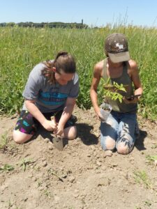 black farmer, elderberry, community garden