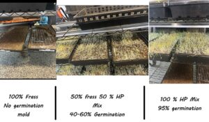 BMG Frass Microgreens Trial