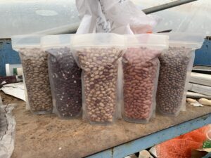 Beans in plastic containers