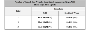 Table 3.4. Number of squash bug nymphs carrying endophytic strain W11 three days after uptake of a prepared culture. Nymphs were starved and fed a standardized culture of strain W11 or a sterilized water control. After three days, nymphs were crushed in PBS, diluted by 1:1000, and plated on to LB. Red colonies typical of W11 were then enumerated.