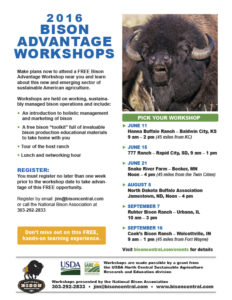 bisonworkshops