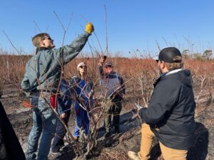 Southern Region Pruning