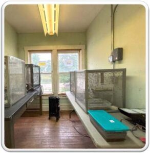 Breeding room