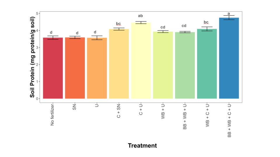 Figure 14: Average soil protein (mg/g soil) is plotted for each treatment in 2025 on Long Island, NY. Key: SN = synthetic nitrogen (urea), U = urine, C = compost, WB = wood biochar, NS = non significant, bars represent standard error, bars with different letters are significantly different from each other.