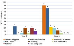 Figure 5.9. Incidence of cucurbit yellow vine disease (CYVD) in years two and three. Incidence was determined based on symptoms of yellowing and collapse in the field and confirmed using PCR and strain-specific primers. A one-way ANOVA was run to determine differences and Tukey’s HSD was run for separation of means. Treatments with the same letters indicate no significant difference (α=0.05) in CYVD incidence between treatments based upon a one-way ANOVA and Tukey’s HSD.