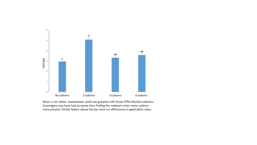yield related to cadaver number applied