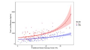 Relationship between the proportion of green pixels in Canopeo images and sampled aboveground biomass, based on 2023 - 2025 biomass data.