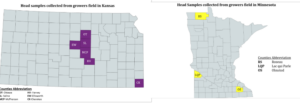 Locations of grain samples received by state.