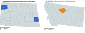 Locations of grain sample origin