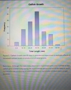 Catfish Graph