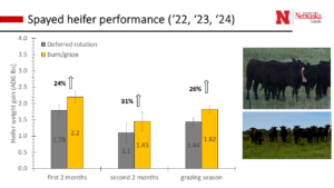 Average cattle weight gains in the patch-burn grazing system and deferred rotational grazing system from 2022-2024.