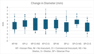Change in diameter of Korean and Siberian Pine April 2024 to September 2025