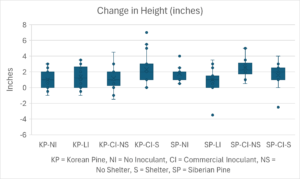 Change in height of Korean and Siberian Pine April 2024 to September 2025