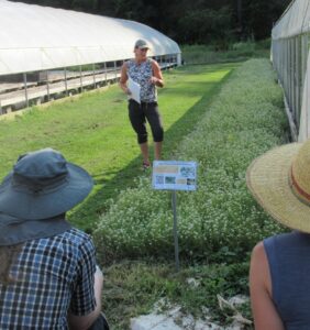 Cheryl Sullivan, a project team member, describing use of alyssum habitat strips around high tunnels 