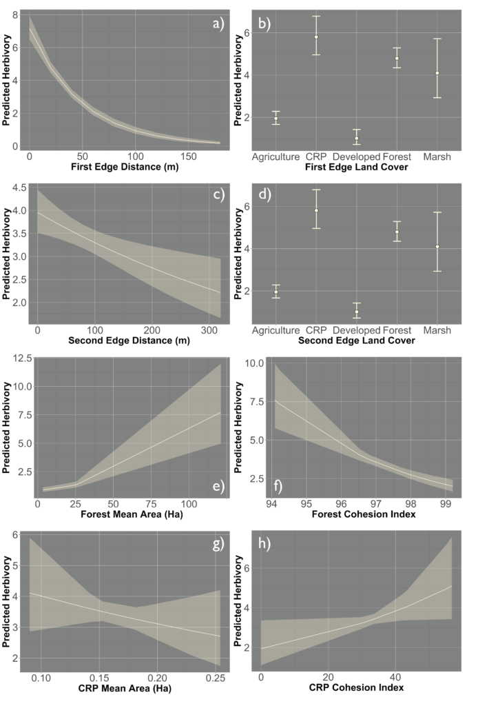 Effects plots for class-level model
