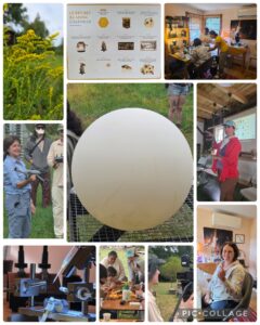 Collage of TKB Queen rearing workshop