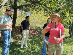 Concord Community Garden