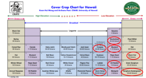 cover chart w/circles