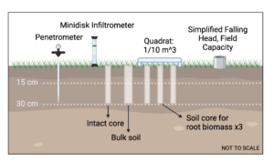 Experimental design showing the layout of all measurement methods collected in orchard alleys.