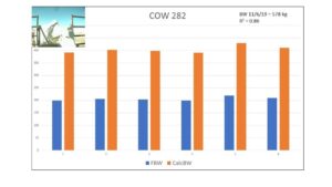 Frontal data and calculated full body weight